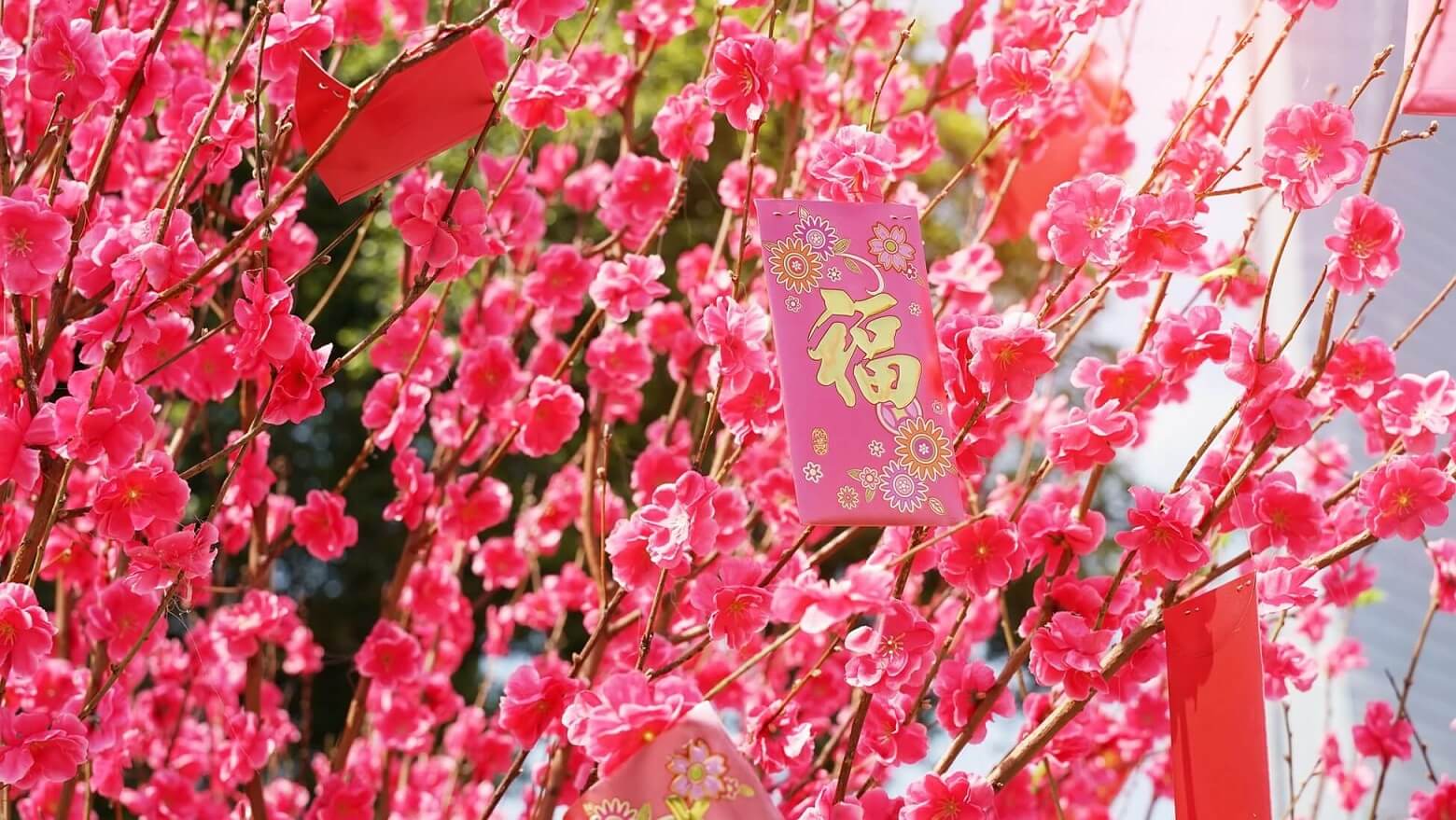 【儲蓄保險】趕「得」上變化的新年部署