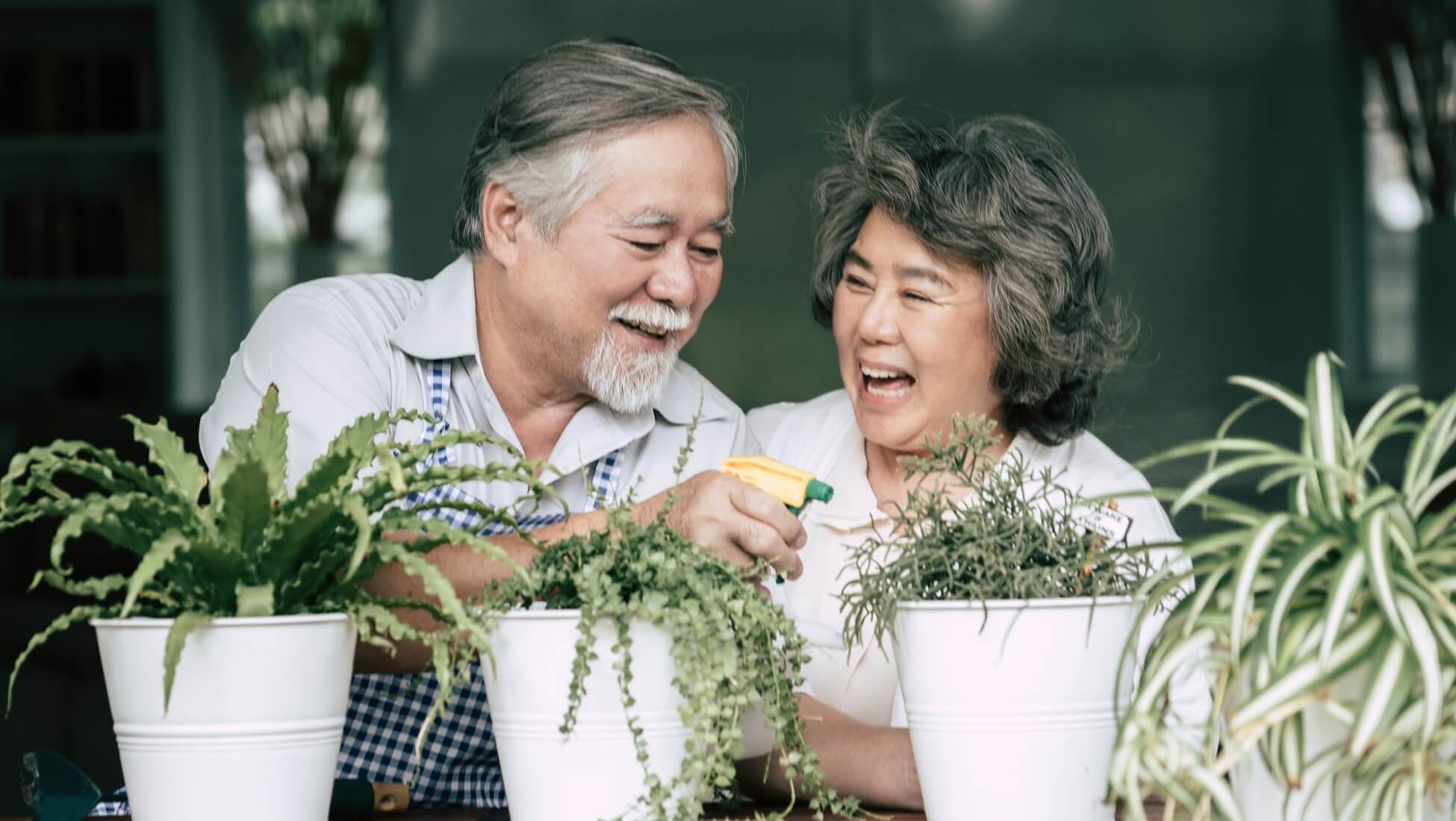 年金計劃點挑選？ 權益可歸配偶？這4點要留意