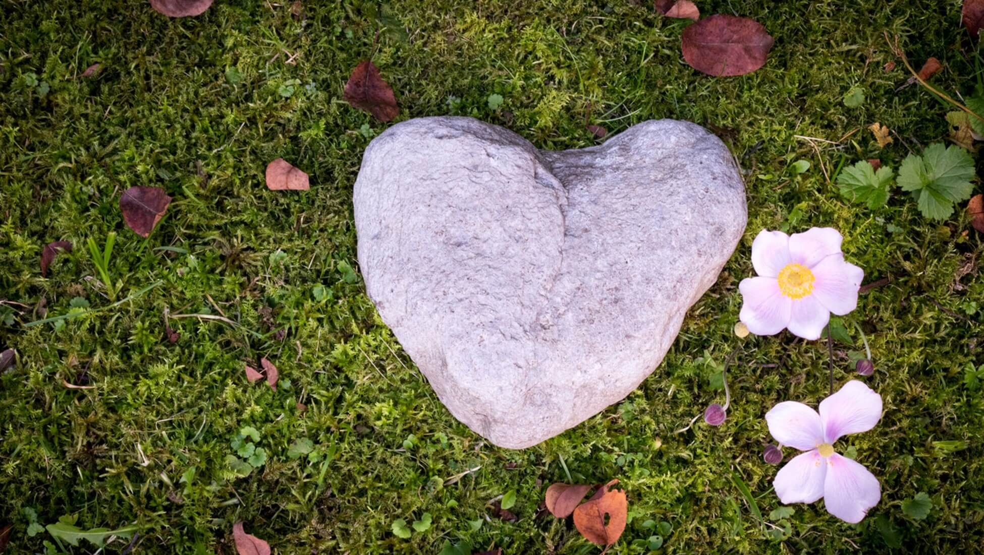 綠色殯葬申請指南：地點、費用及程序懶人包